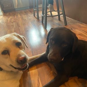 Meet your Posher, Cameron